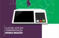 Entidades de Joaçaba lançam campanha pelo voto regional